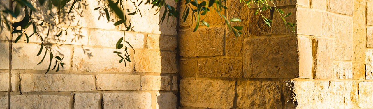 Thin Stone Veneer